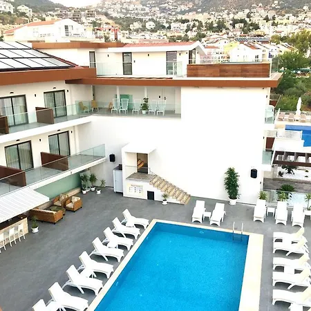 Rhapsody & (adults Only) カルカン