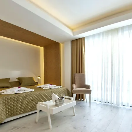 Rhapsody & (adults Only) カルカン